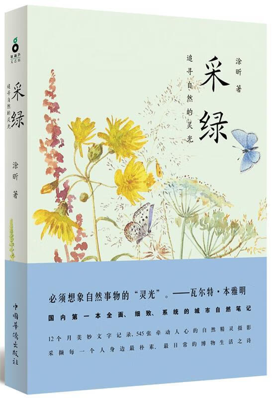 采绿 涂昕【书】