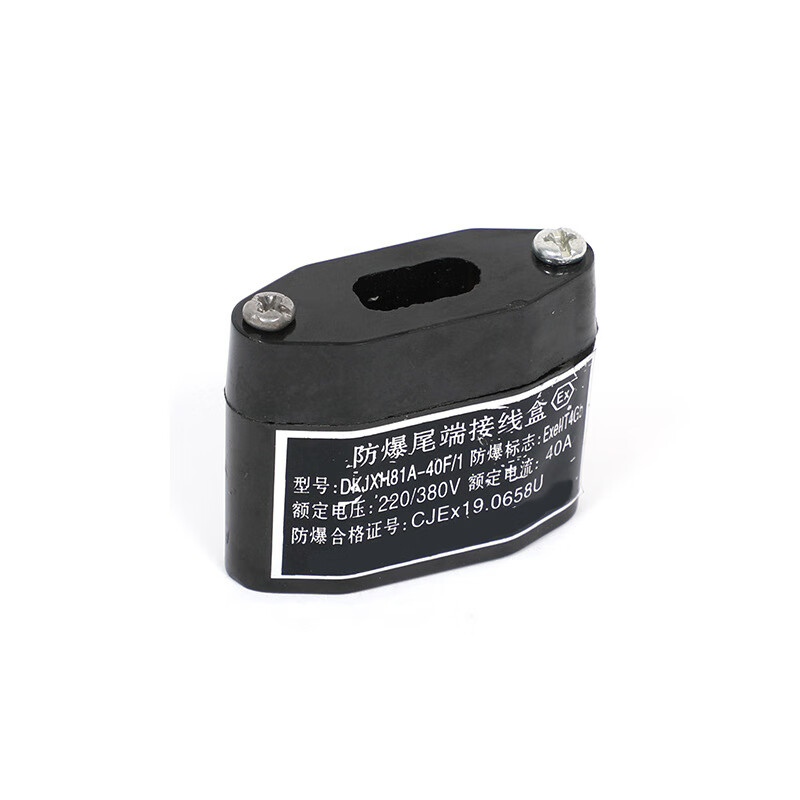 亮才 dlfj0018 电伴热带专用防爆防水配件 伴热带尾端接线盒防爆