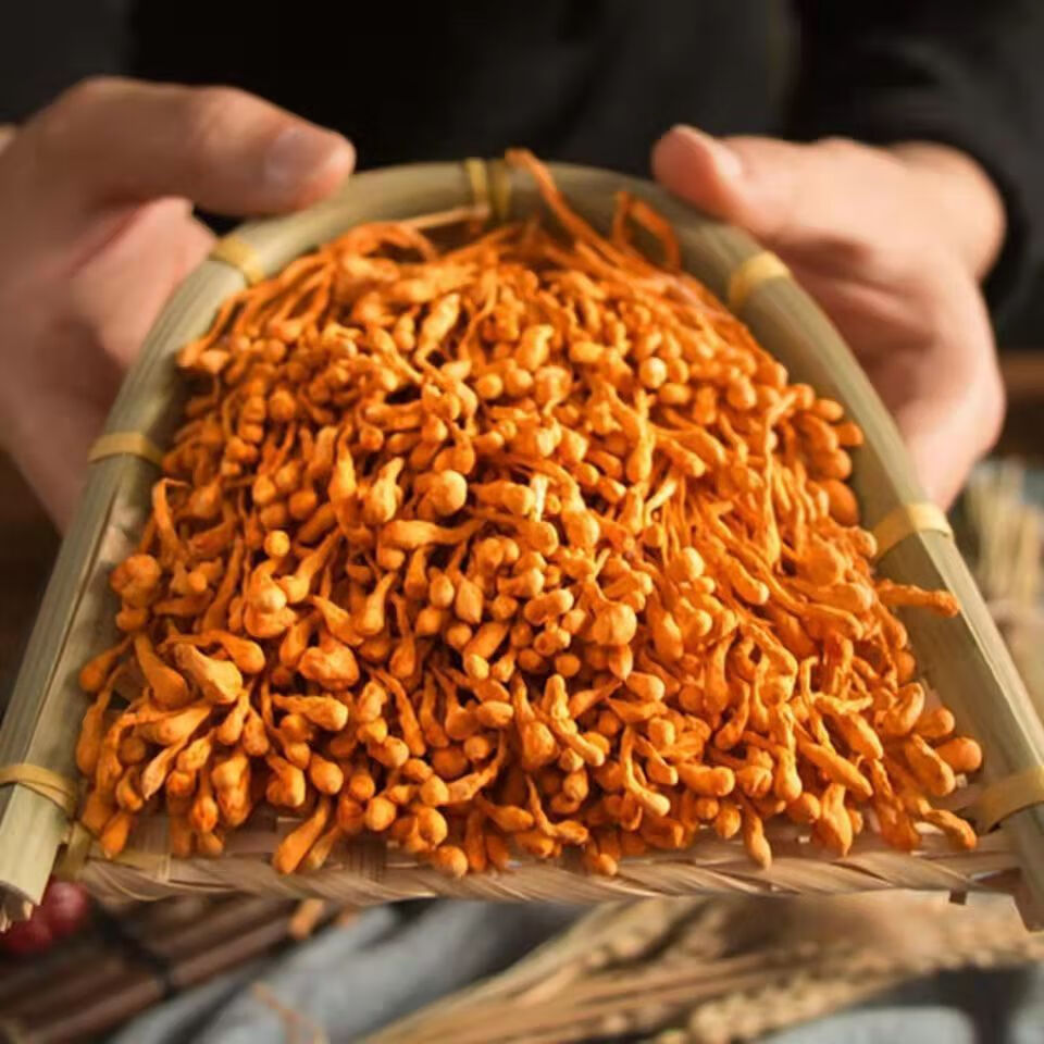 干货2024新货大量上市孢子头北虫草煲汤食材金虫草蛹 虫草花(散草250g