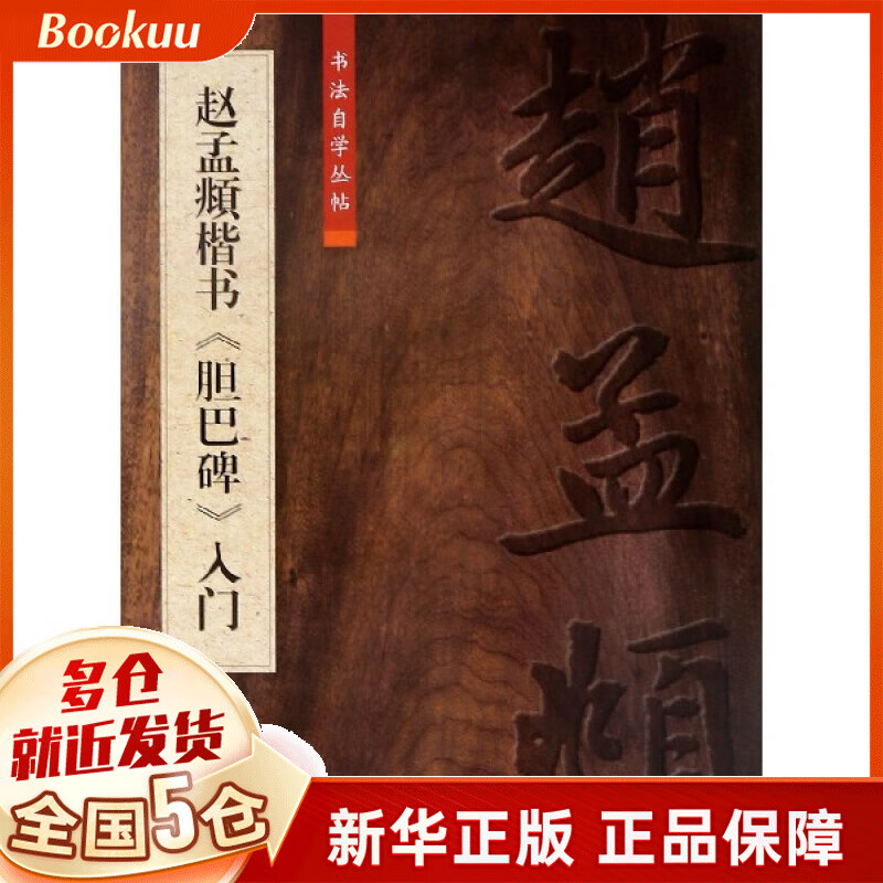 赵孟頫楷书胆巴碑入门/书法自学丛帖