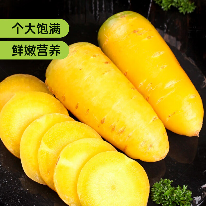 新疆直发糖心黄萝卜手抓饭黄胡萝卜非有机生吃新鲜蔬菜甜水果 糖心黄萝卜5斤(热卖装)