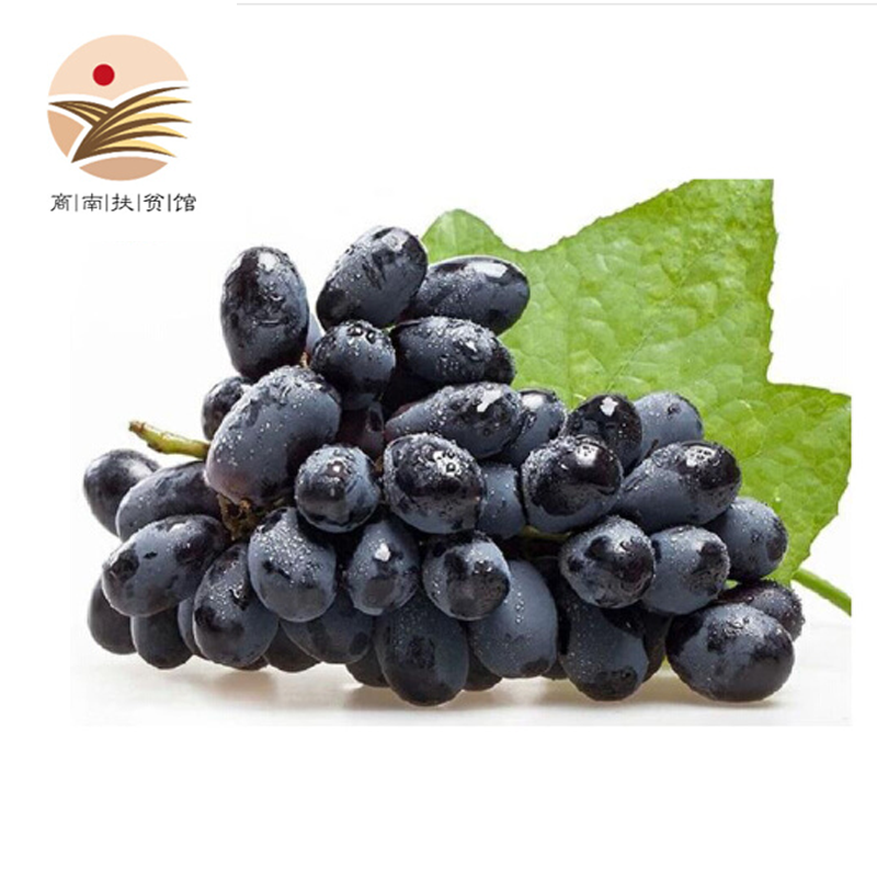 新鲜无籽黑提子