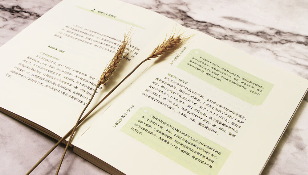 我的1-2岁孩子：抓住学习语言的敏感期（一丹奖获得者朱永新教授主编）详情图