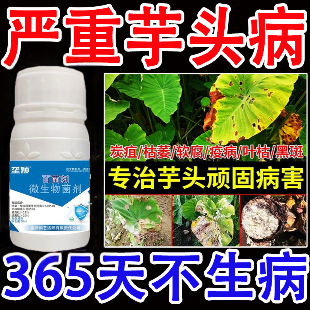 叶斑点疫病霜霉病铜钱病芋瘟病全治防治杀菌剂正品 芋头病害清【2瓶】