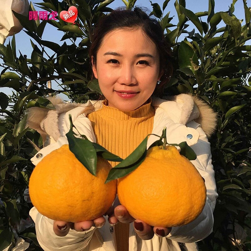 查找苗木历史价格|苗木价格走势