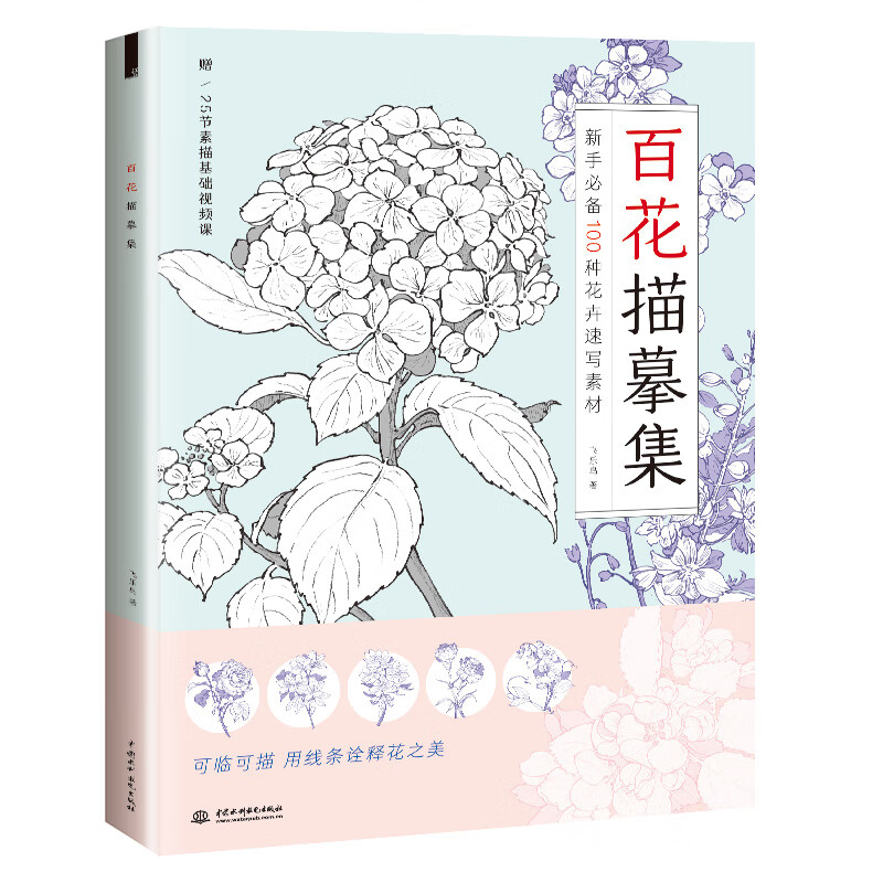 百花描摹集 素描花卉临摹描红画集 100种花卉图解步骤 线描花卉铅画