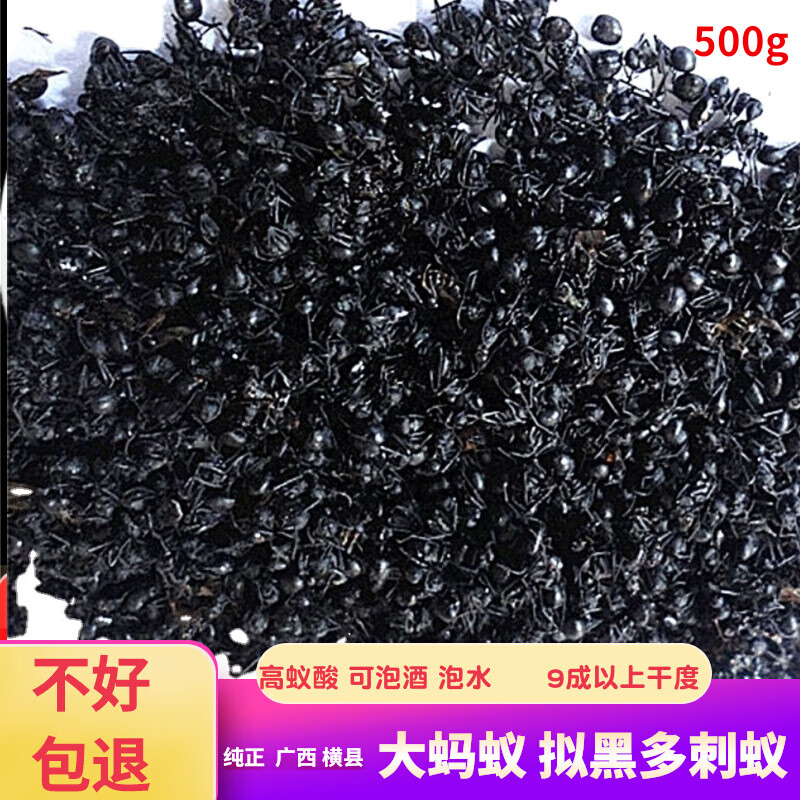 广西黑蚂蚁野外生长500g横县黑蚂蚁泡酒料拟黑多刺蚁中药材食用黑蚁粉