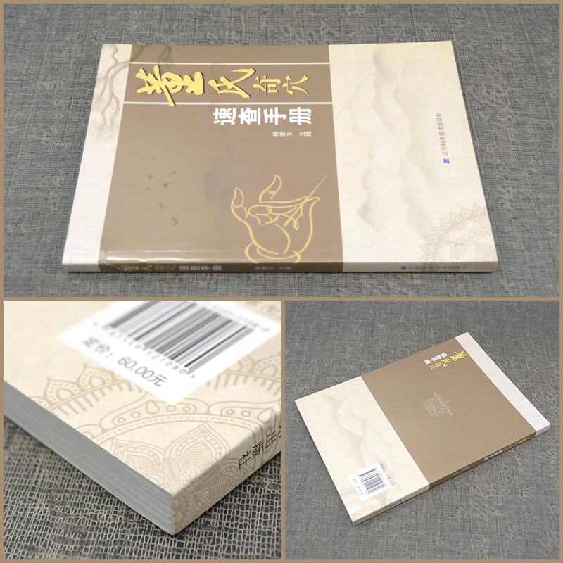 董氏奇穴速查手册 董氏奇穴实用手册 针灸穴位图解 针灸推拿正经奇穴学 中医针灸学书籍