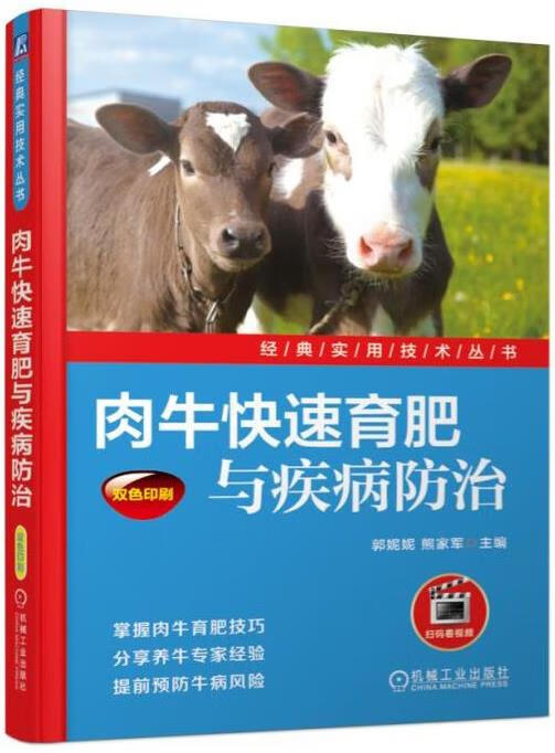肉牛快速育肥与疾病防治 杨泽霖 9787111569633