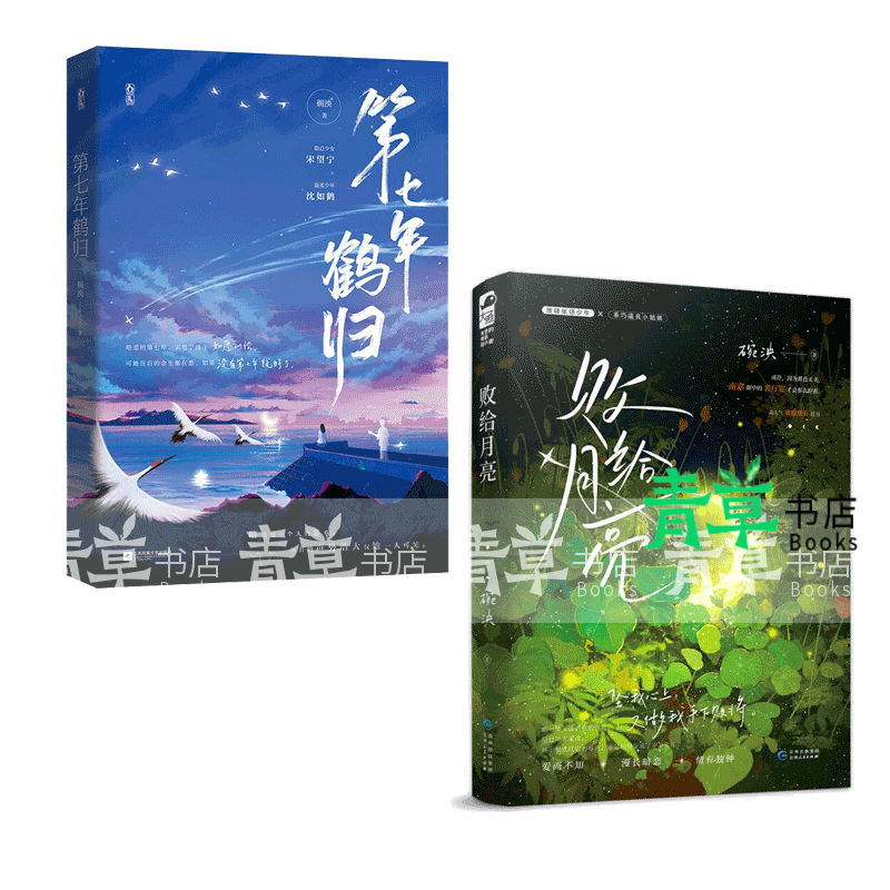第七年鹤归 败给月亮 2册 青春暗恋救赎文