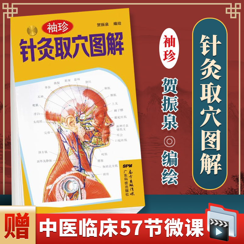 袖珍针灸取穴书图解 针灸穴位 按摩 穴位图 超简单快速取穴 中医学家庭保养保健穴知识大全书籍人体穴位图解大全经络穴位使用图册