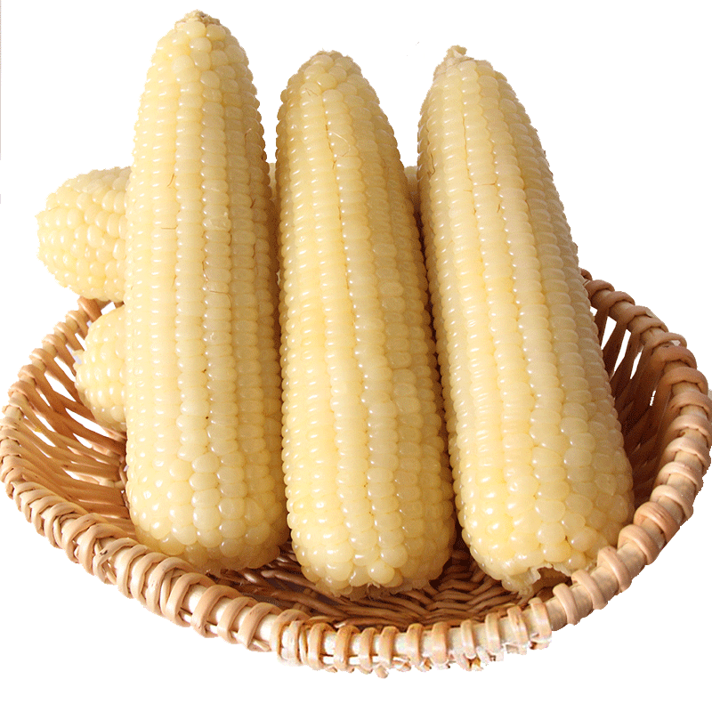 傲货品牌茄果瓜类价格历史走势，销量趋势和评测|茄果瓜类历史价格怎么查