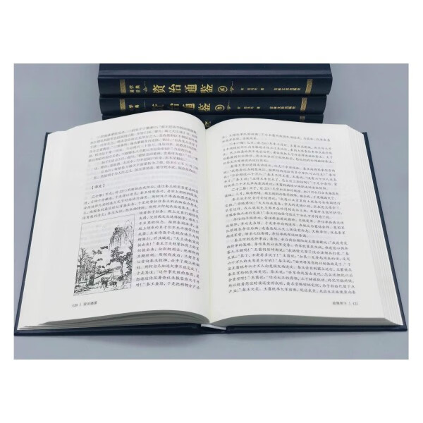 【官方正版】资治通鉴白话版无删减版 文白对照原著 皮面精装全集全套 全本全注全译书成人阅读 资治通鉴精装(全4册) 官方正版