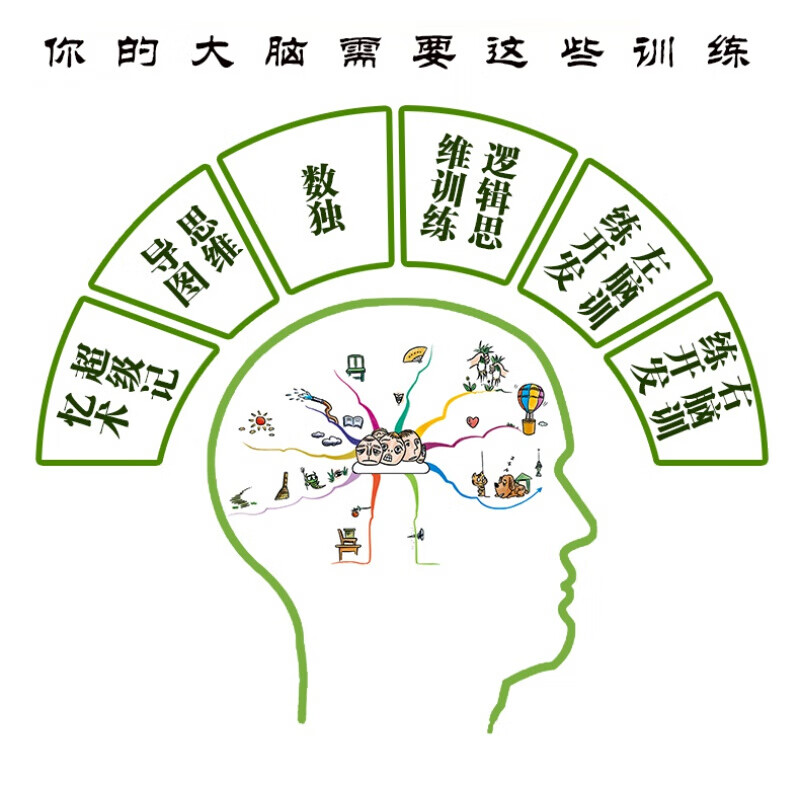 大脑使用书6册记忆力训练书 数学智力开发 思维导图全脑开发游戏大脑