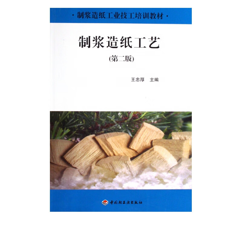 制浆造纸工艺(制浆造纸工业技工培训教材)