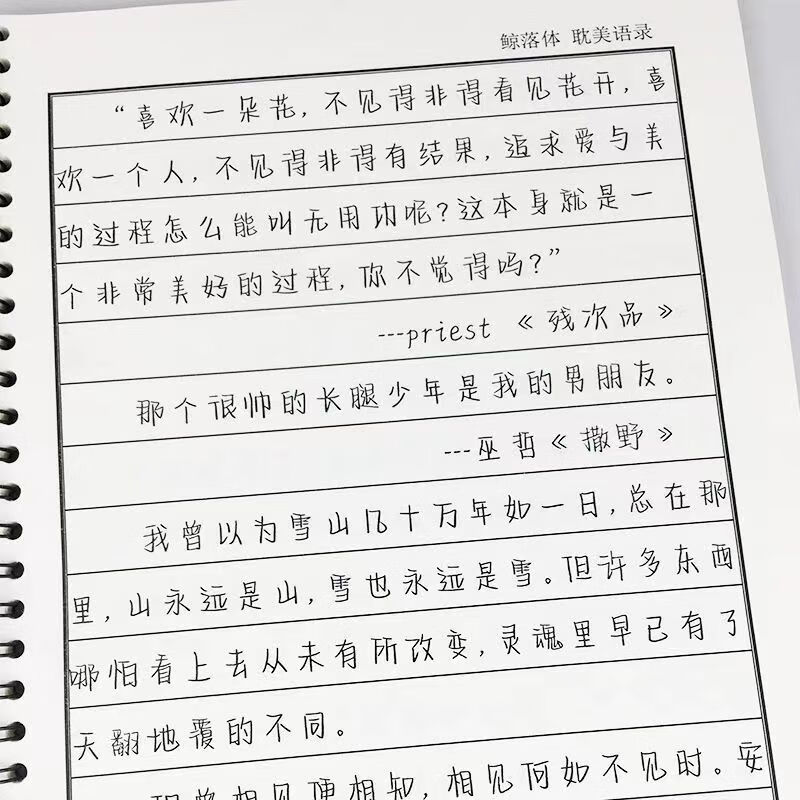 沄潮体鲸落体奶酪体字帖女生手写练字贴人民日报央视文案原耽 鲸落