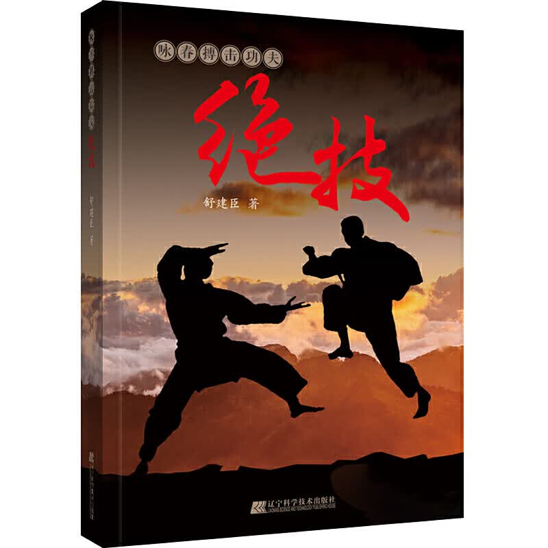 咏春搏击功夫绝技 舒建臣