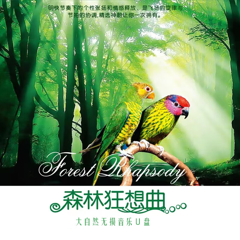 森林狂想曲轻纯音乐背景大自然声音休闲减压舒缓无损音乐u盘版