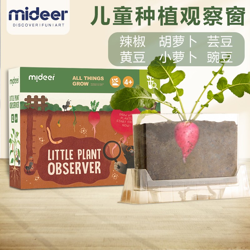 弥鹿（MiDeer）儿童种植阳光房 植物种植观察窗小学生种子观察箱观察盒玩具6-7岁 植物观察--无刻度