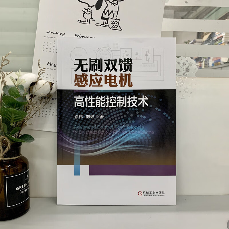 无刷双馈感应电机高性能控制技术 电气工程控制工程可再生新能源发电电力电子电力电机传动 电机运行控制技术应用机械工业出版社