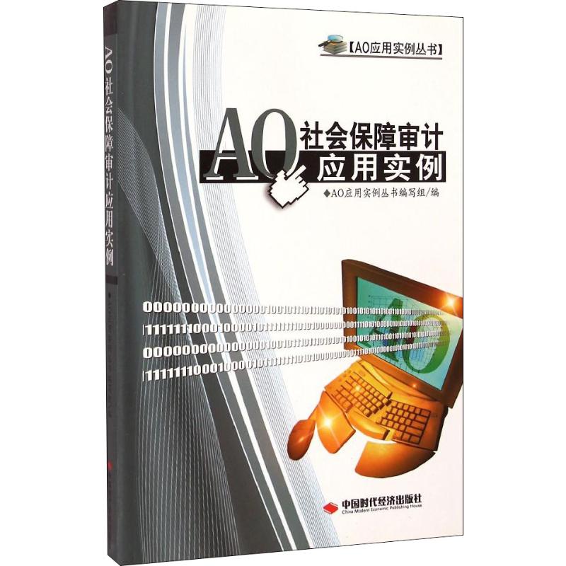 AO社会保障审计应用实例