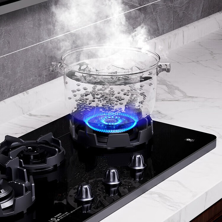 SESDERMA(赛斯德玛)日本新款抽油烟机大吸力家用体感顶侧双吸式自动清洗油烟分离排烟 C919变频大吸力