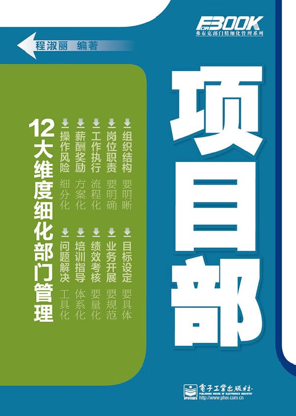 项目部 程淑丽编著【正版书】