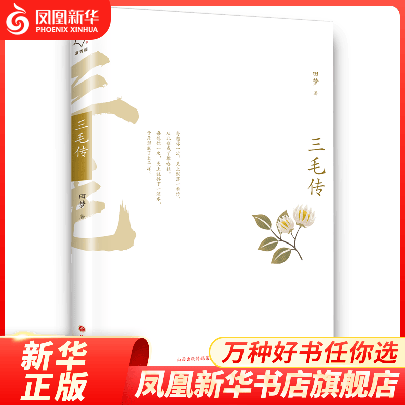 三毛传 田梦著 女性人物传记类书籍名人传记女性励志心灵修养民国人物传记 正版书籍【凤凰新华书店旗舰店】