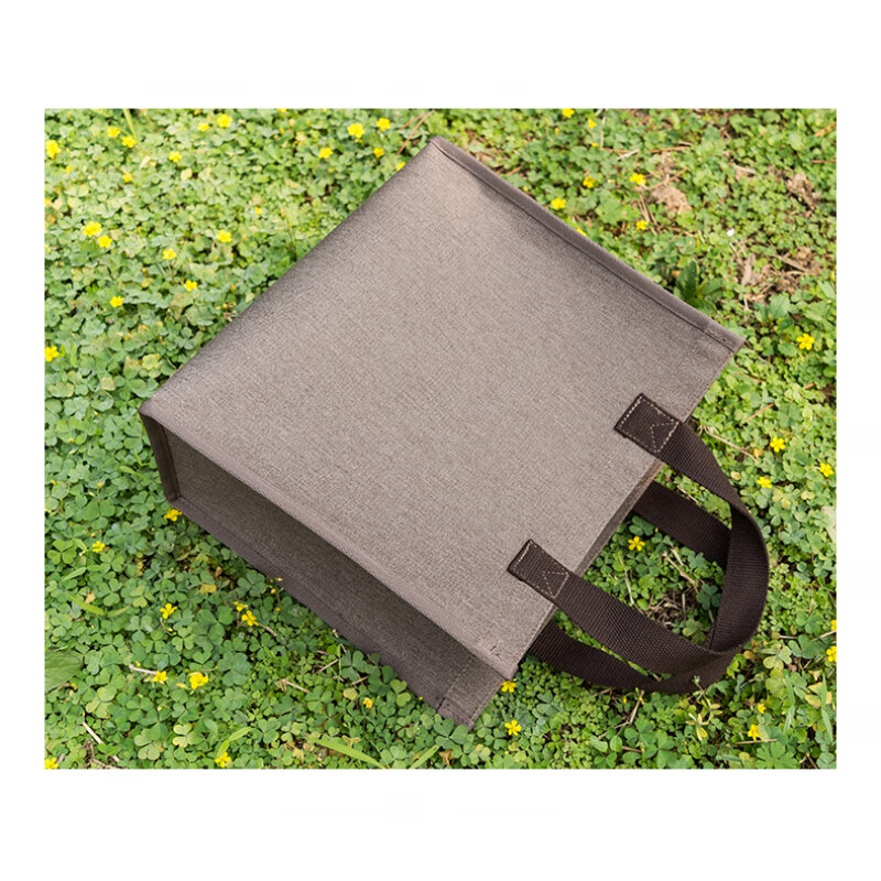 旅行用的结实袋子便利旅行袋子环保购物袋帆布便携学生拎书袋防水大