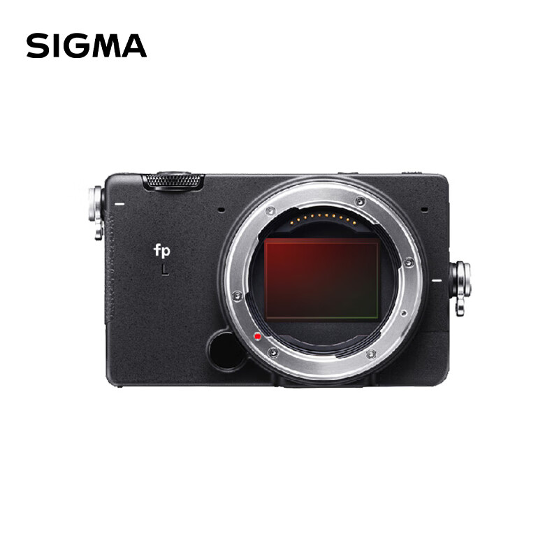 适马fp L的6100万像素是否能满足我的高清拍摄需求?插图 适马fp L的6100万像素是否能满足我的高清拍摄需求?插图