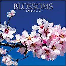 【预订】blossoms : 2020 square wall