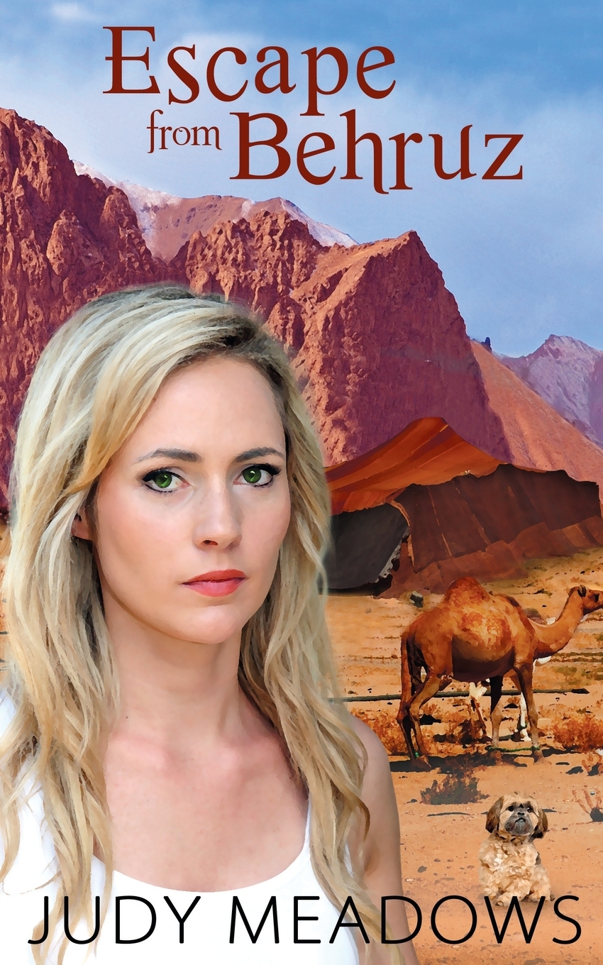 【预售 按需印刷】escape from behruz