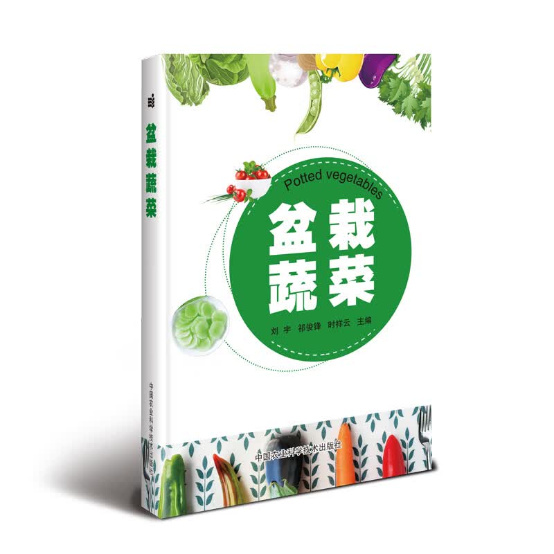 盆栽蔬菜属于什么档次？