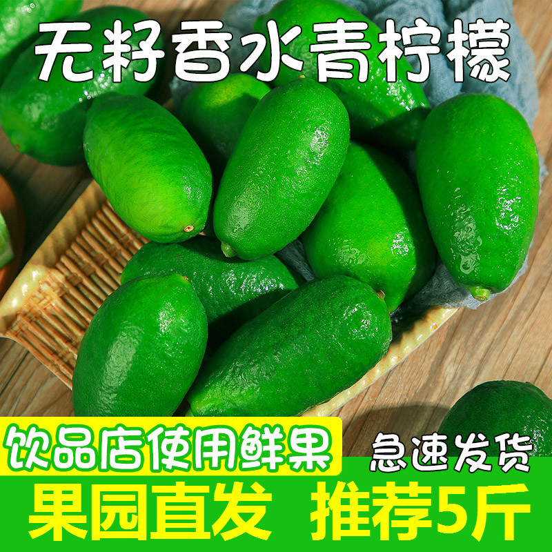 囧仙子广东香水柠檬新鲜一级果海南应当季水果无籽青柠檬奶茶店使用
