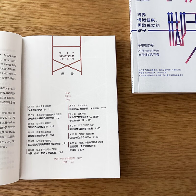 爱的脚手架：培养情绪健康、勇敢独立的孩子详情图