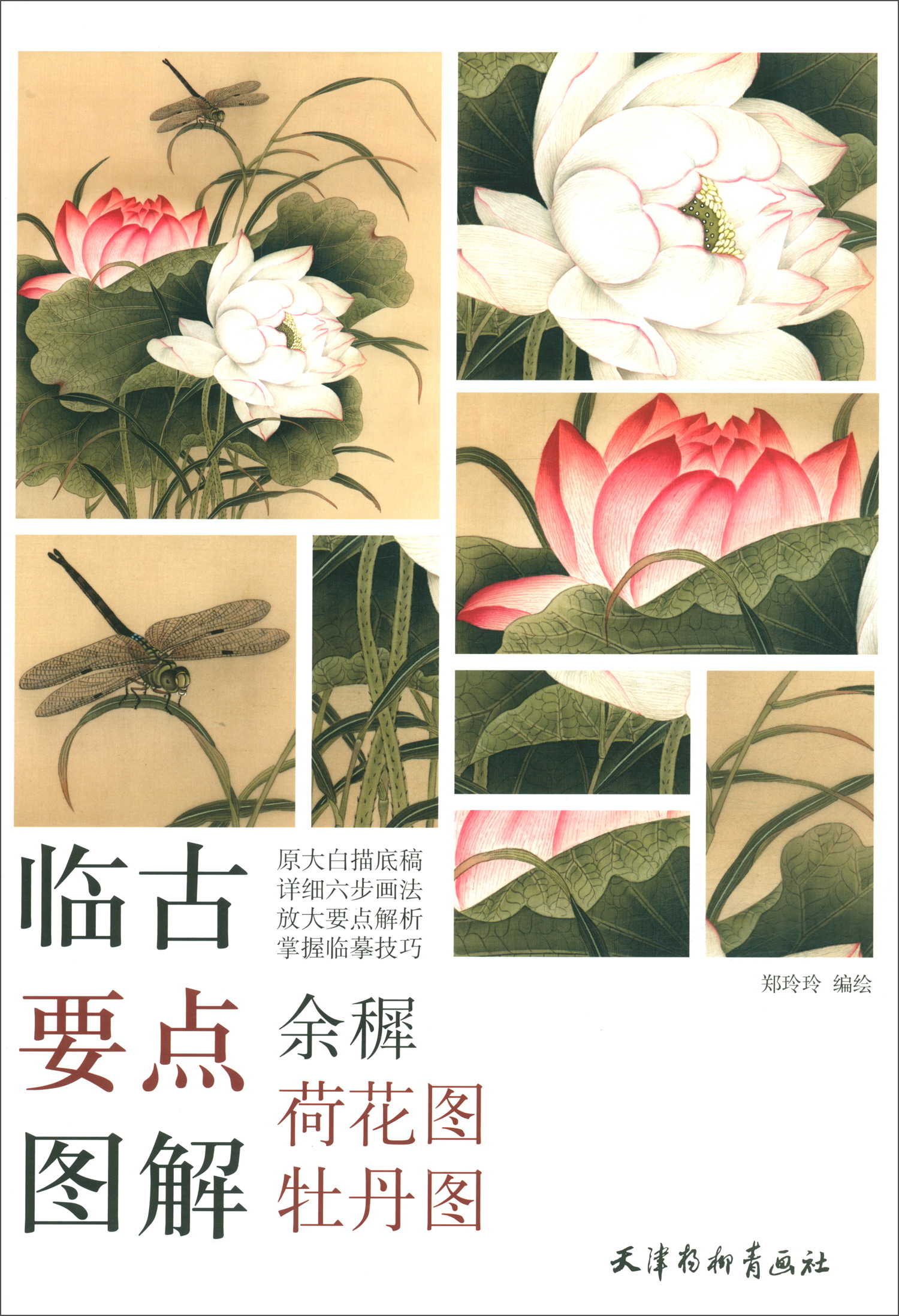 余穉荷花图牡丹图