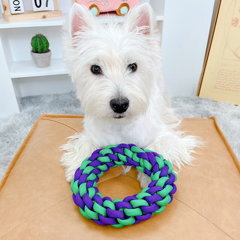 星球狗狗玩具绳结耐咬磨牙博美金毛拉扯法斗拔河狗结绳咬绳宠物绳结球