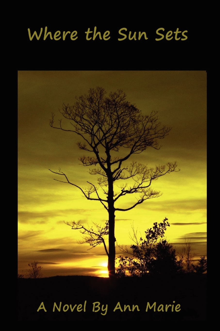 【预售 按需印刷】where the sun sets