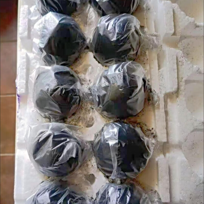 tlxt沙湖咸鸭蛋 多规格沙湖鸳鸯蛋咸鸭蛋仙桃沙湖特产咸蛋不太咸 10枚