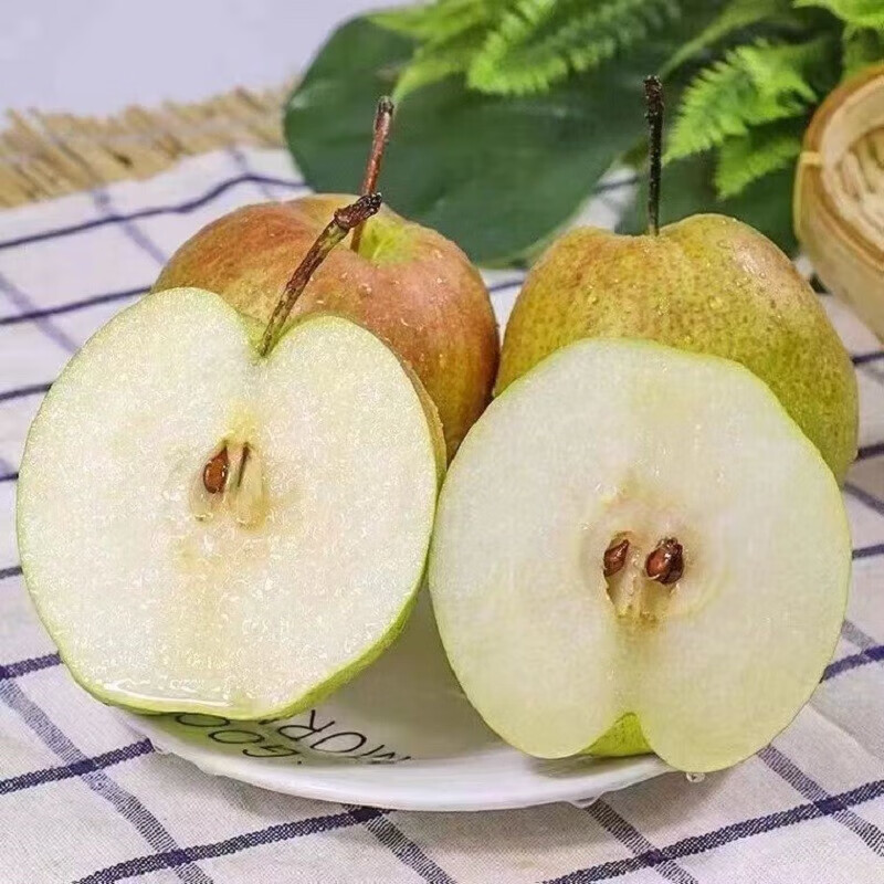 鲸咚亿农山西隰县玉露香梨 新鲜水果当季现摘时令水果中秋节礼盒 12枚 大果【75-80mm】