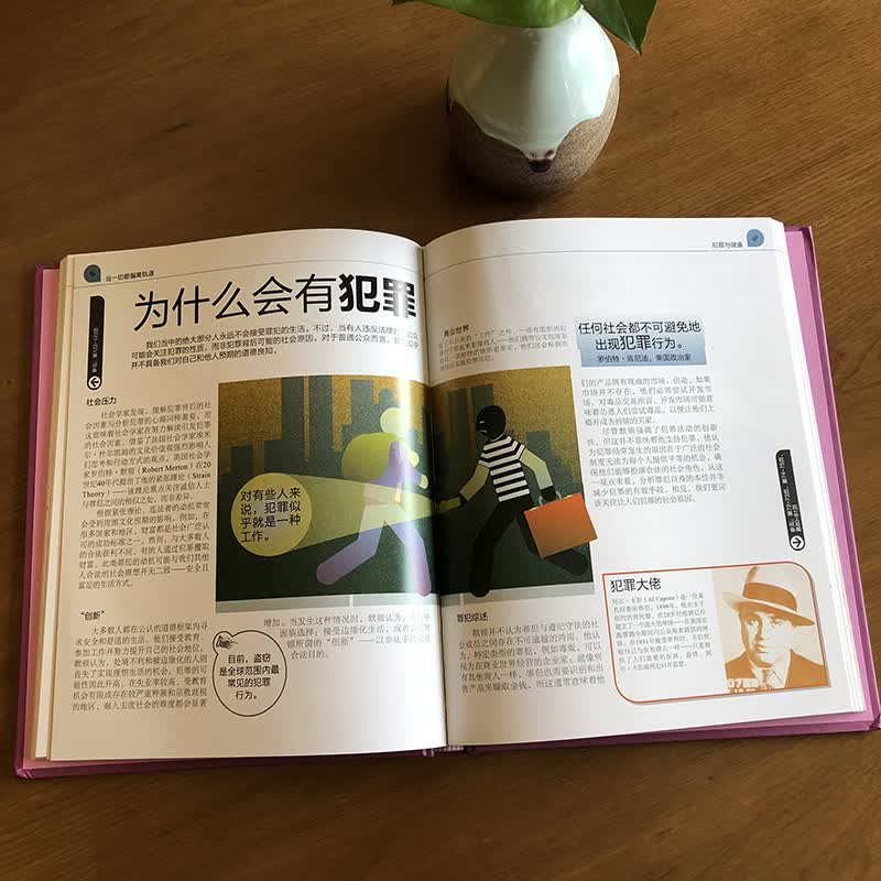 DK青少年人文科普百科：社会学百科 小猛犸童书(精装)详情图