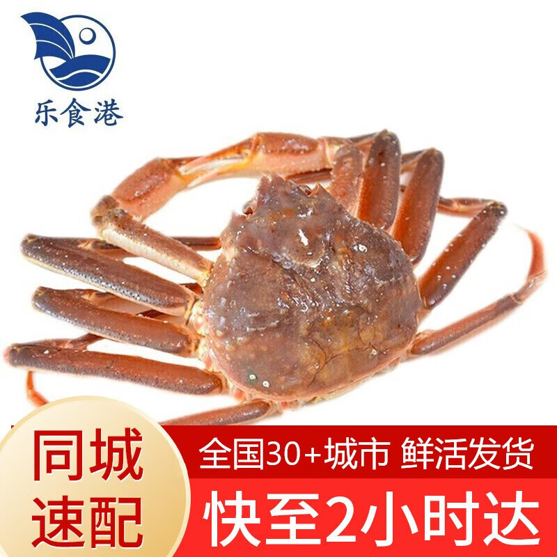 【活鲜】乐食港 同城速配 鲜活松叶蟹 1.8-2斤/1只板蟹