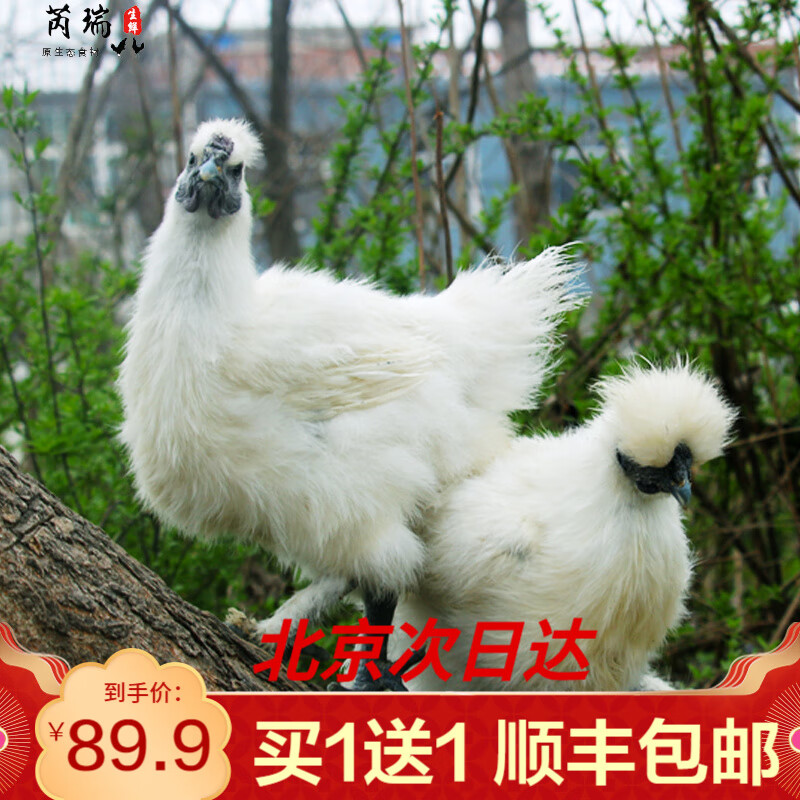 如何看鸡肉商品历史价格|鸡肉价格比较