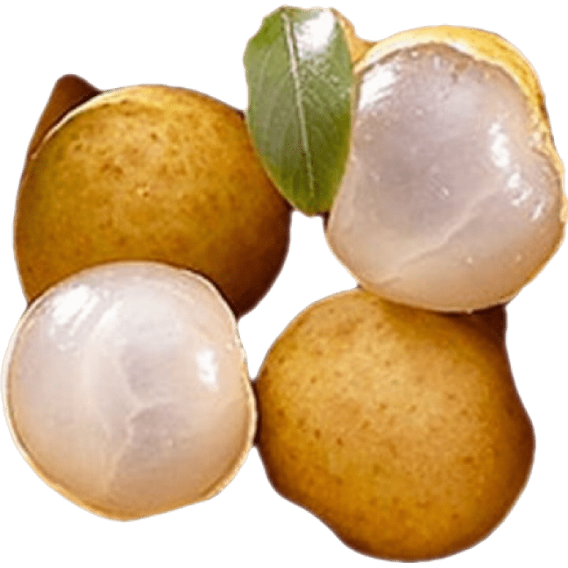 ������̩���������� ���������и�ˮ���������ﴺ������ˮ����� ��ѡȥ֦���� 1000g ������6-12g�� 39.9Ԫ