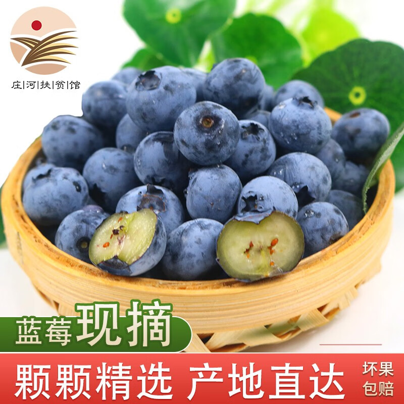 蓝莓历史价格走势助手|蓝莓价格走势图