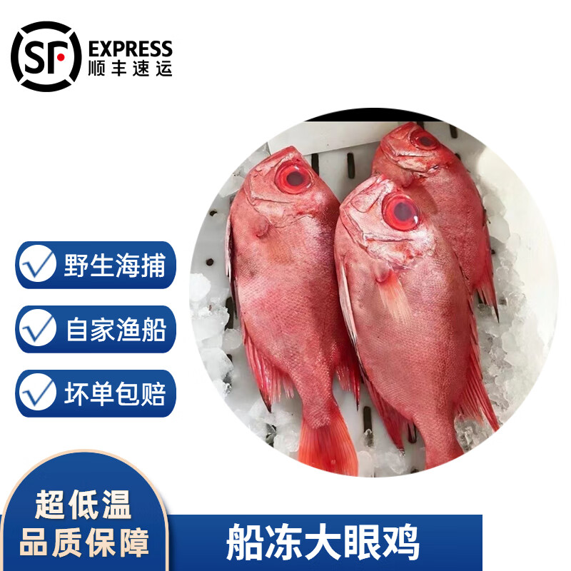 沢素湾大眼鸡鲷鱼 船冻大红眼鱼红目鲢 真鲷鱼 5斤装(1-1.2斤/条)
