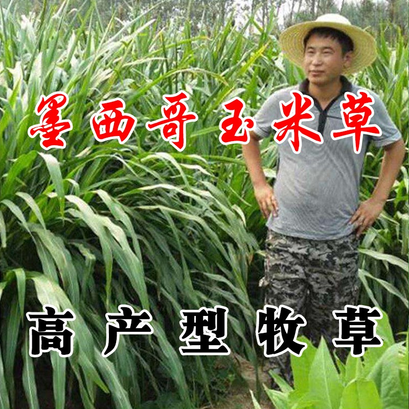 花草林木类京东商品历史价格查询|花草林木类价格走势图