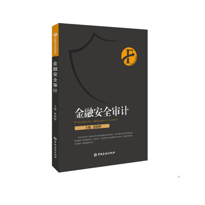 金融安全审计/金融安全系列教材