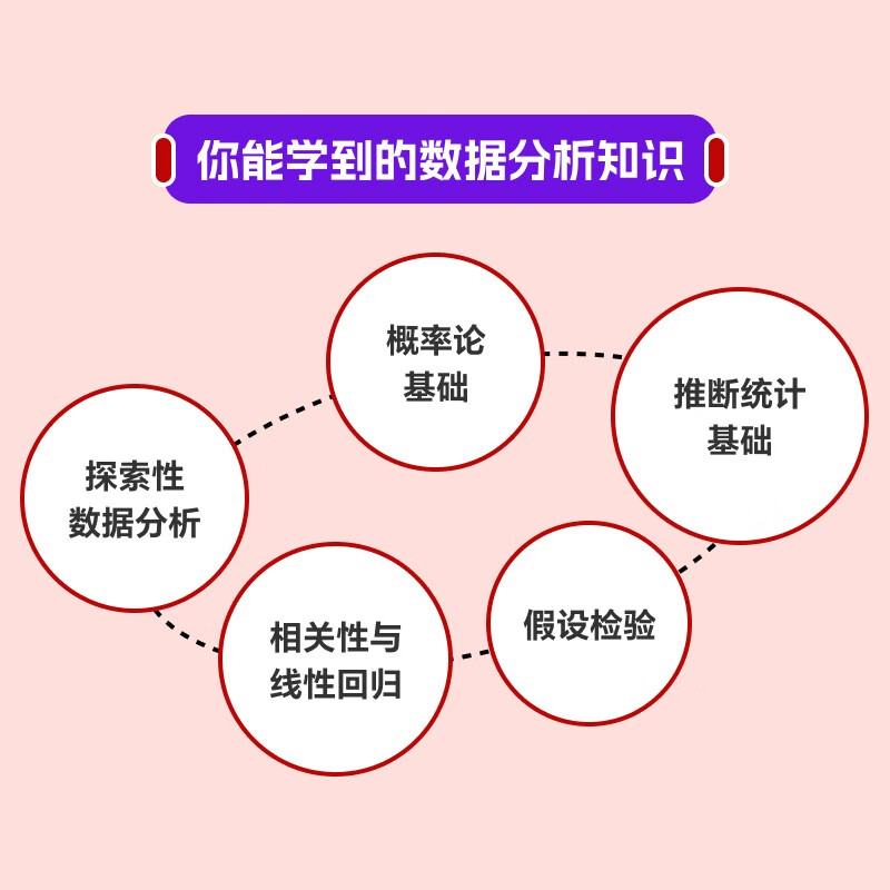 数据分析轻松进阶：从Excel到Python和R（图灵出品）