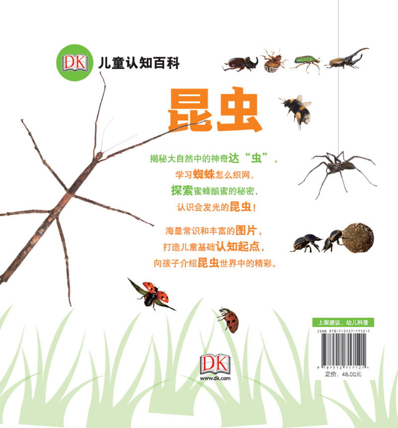 DK儿童认知百科：昆虫